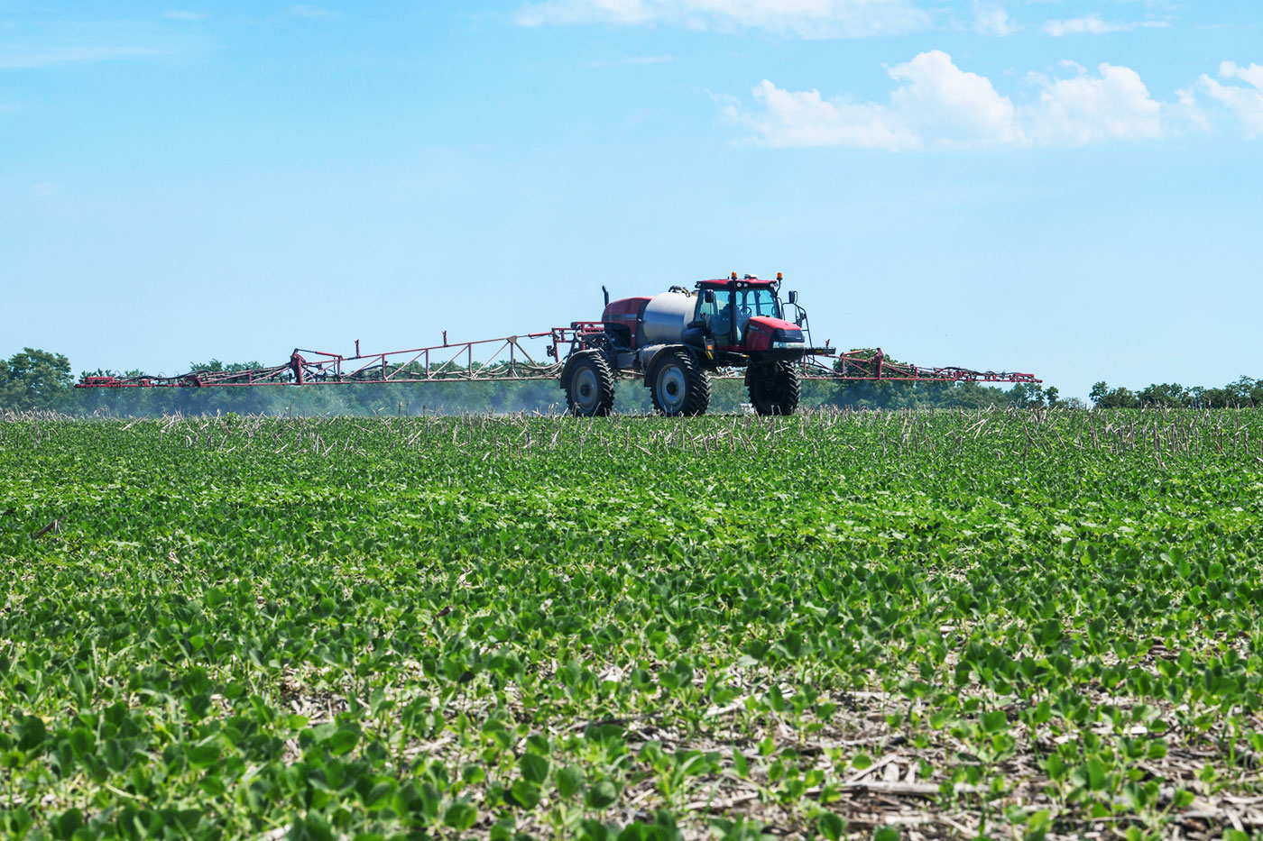 tractor spraying in field of inmature beans